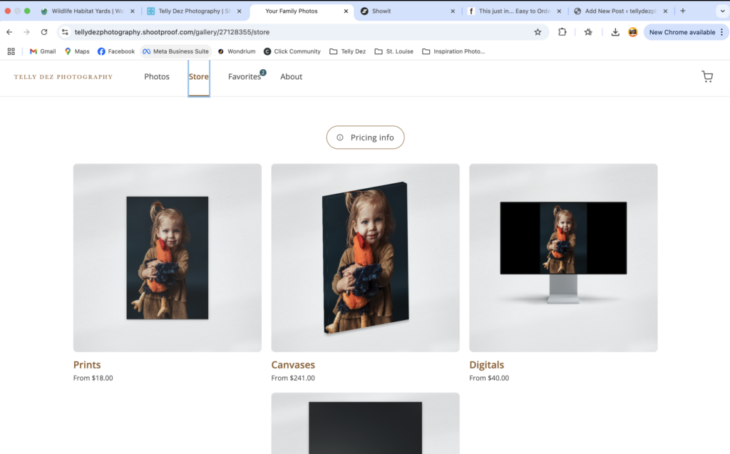 print and digital product offerings displayed in the gallery linked store
